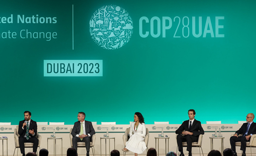 VinFast: Đại diện duy nhất của ĐNA tham luận tại Diễn đàn Thương mại bền vững – COP28